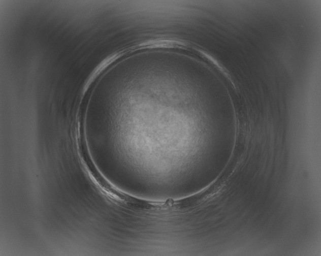 X0000054401418200508011310