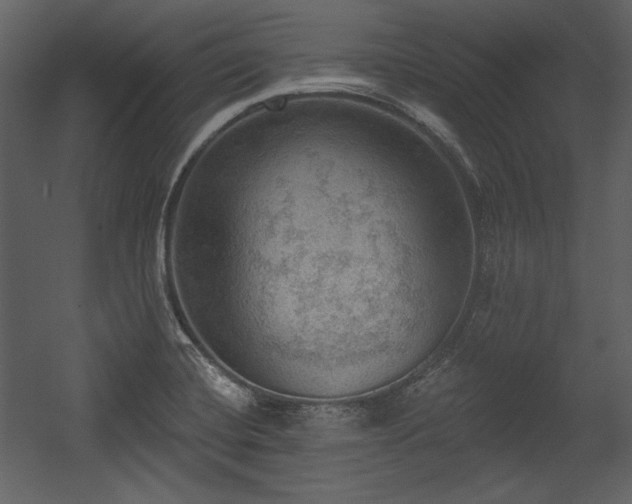 X0000054401420200508011310