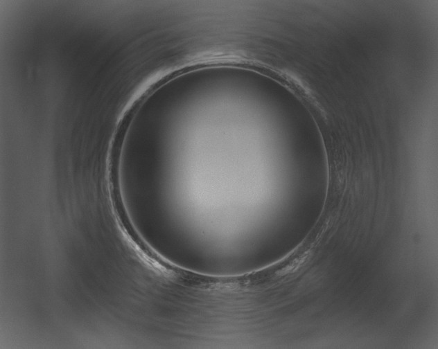 X0000054401422200508011310