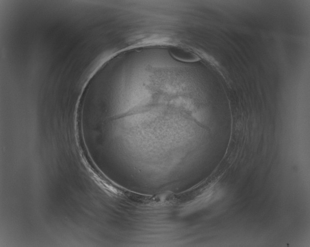 X0000054401423200508011310