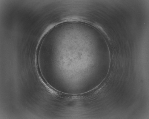 X0000054401424200508011310