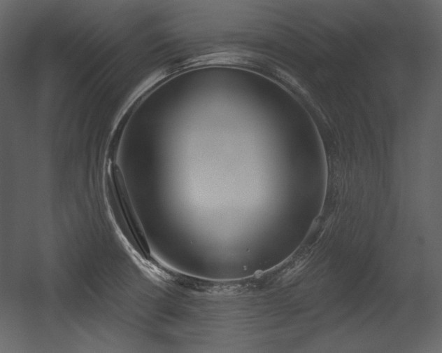 X0000054401426200508011311