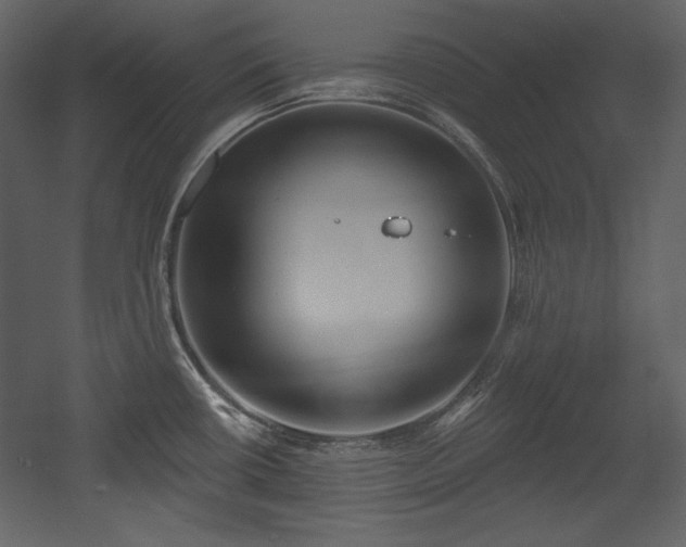 X0000054401434200508011311