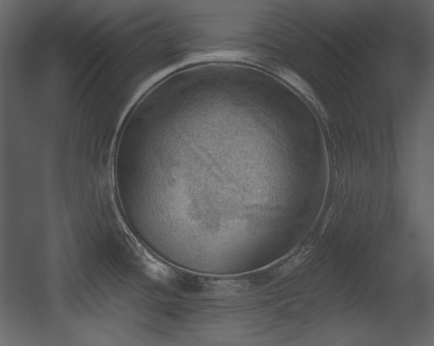 X0000054401436200508011311