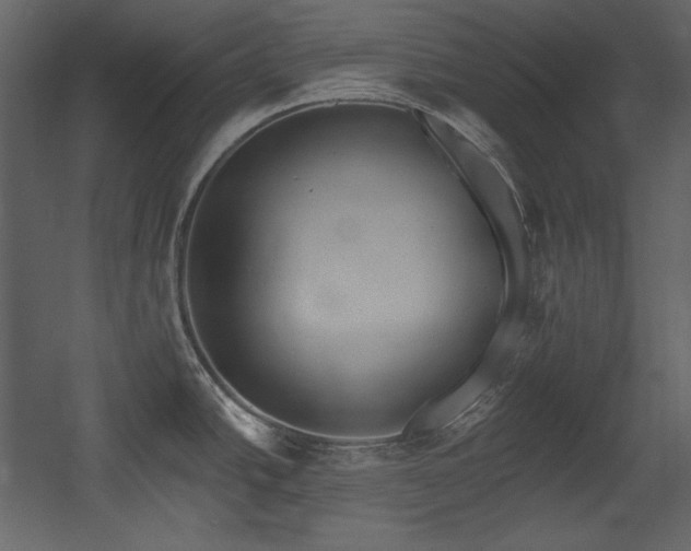 X0000054401438200508011311