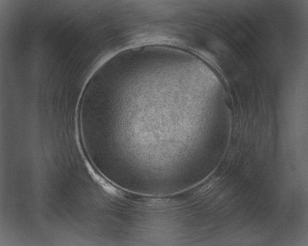 X0000054401439200508011311