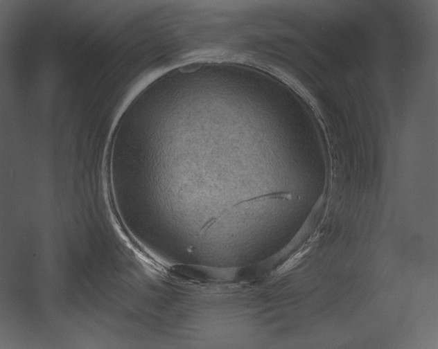 X0000054401440200508011311