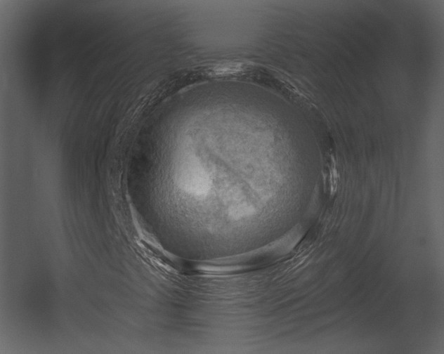 X0000054401441200508011310