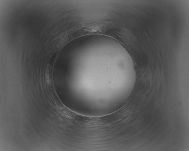 X0000054401442200508011310