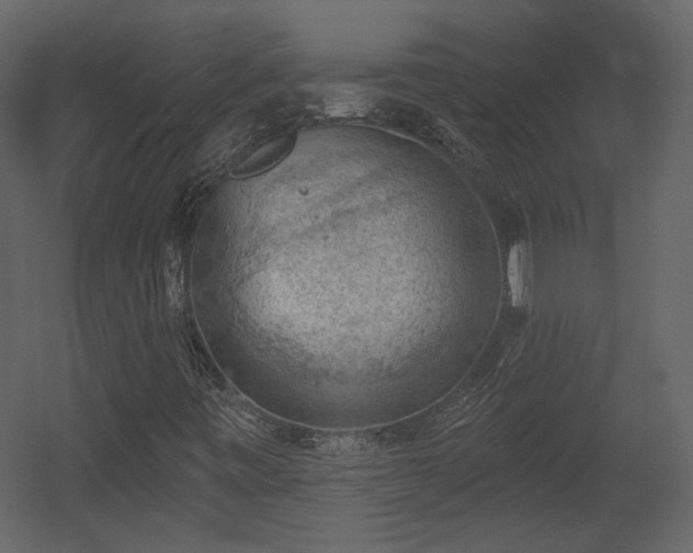 X0000054401443200508011310