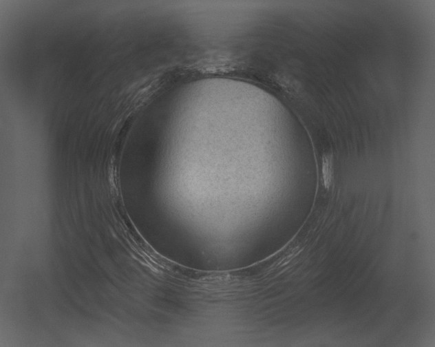 X0000054401444200508011310