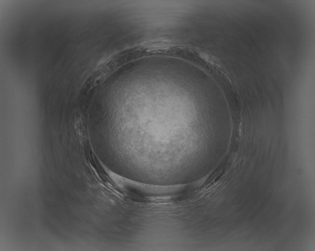 X0000054401445200508011310