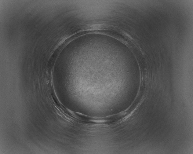 X0000054401449200508011310