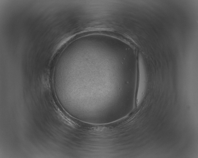 X0000054401452200508011310