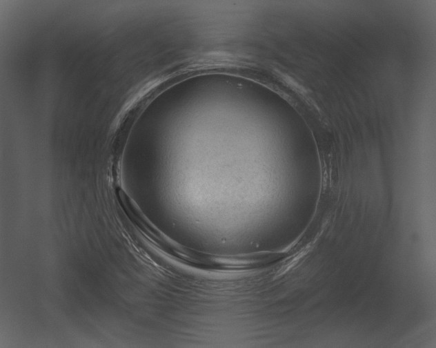 X0000054401453200508011310