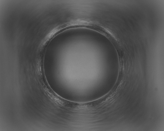 X0000054401455200508011310