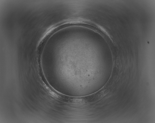 X0000054401456200508011310