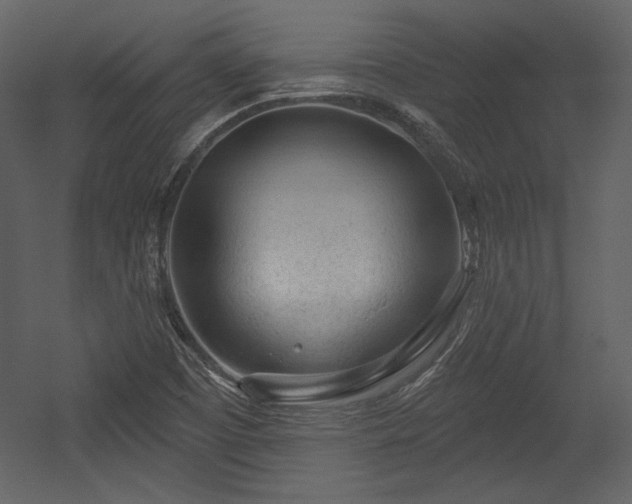 X0000054401457200508011310