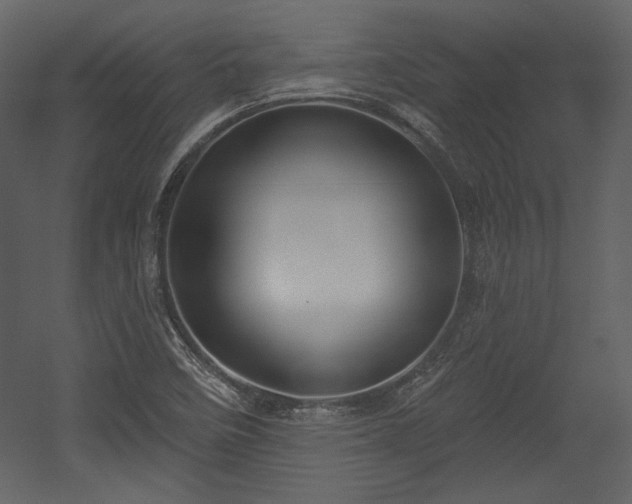 X0000054401458200508011310