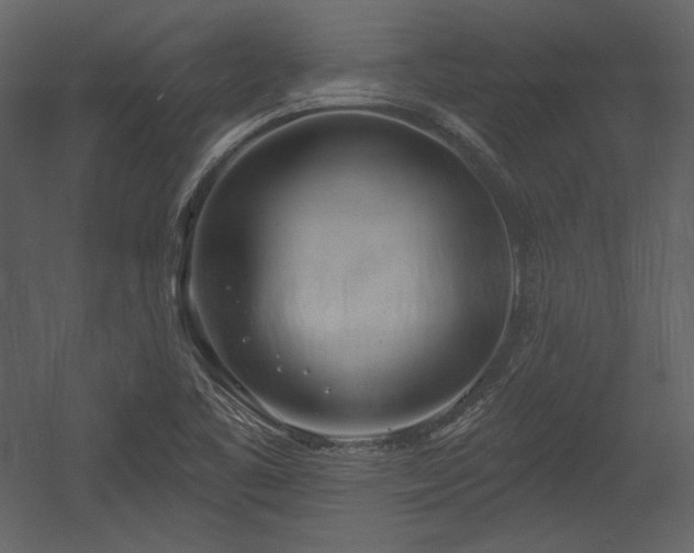X0000054401461200508011310
