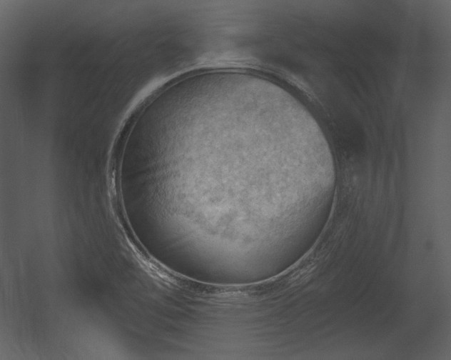 X0000054401462200508011310