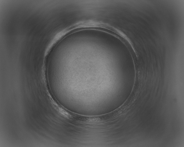 X0000054401464200508011310