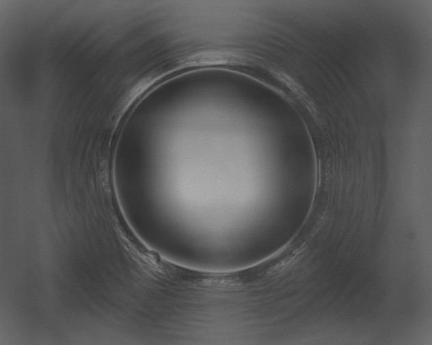 X0000054401465200508011310