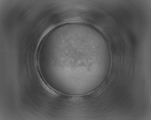 X0000054401466200508011310