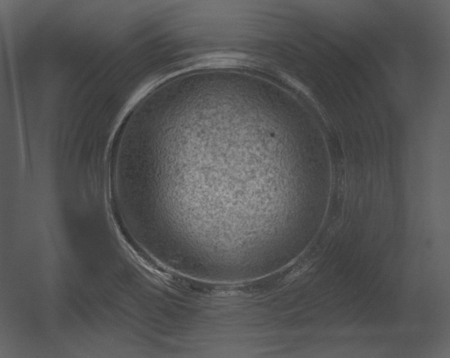 X0000054401467200508011310