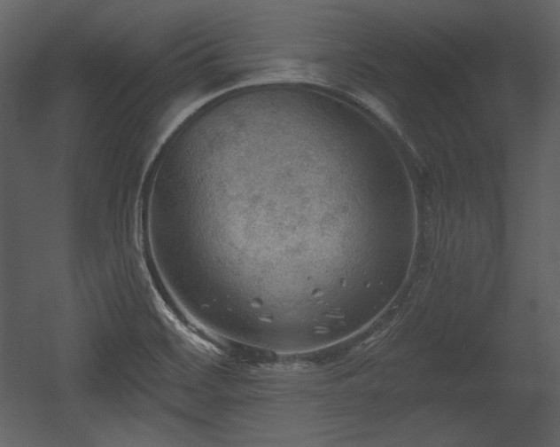 X0000054401468200508011309