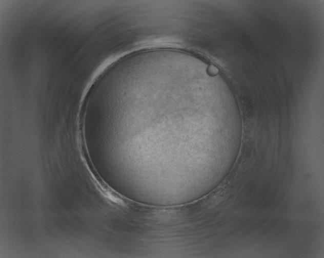 X0000054401470200508011309