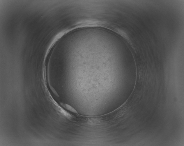 X0000054401472200508011309