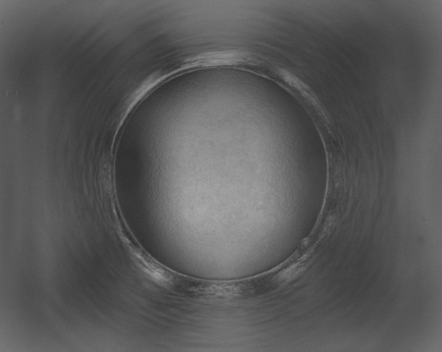 X0000054401473200508011309