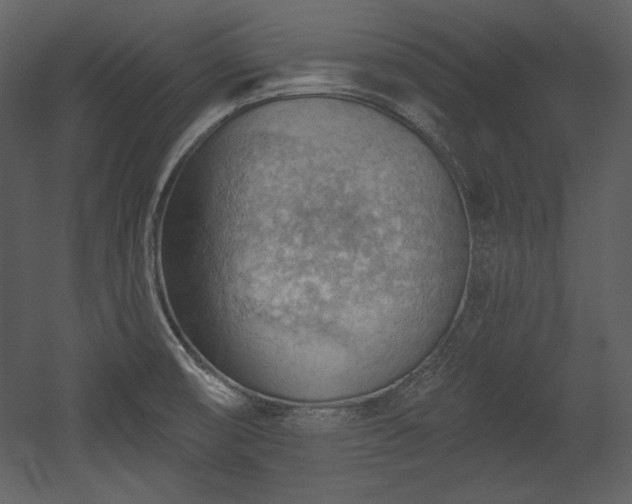 X0000054401474200508011309