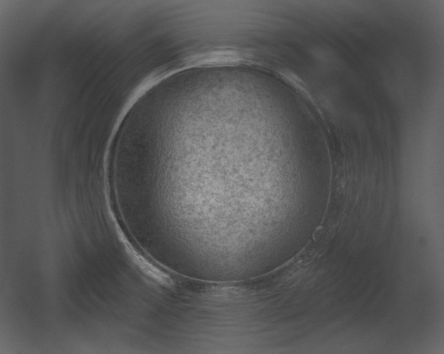 X0000054401475200508011309