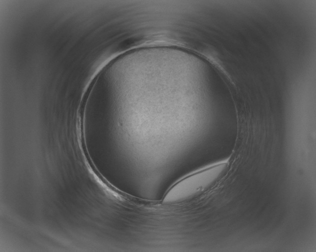 X0000054401476200508011309