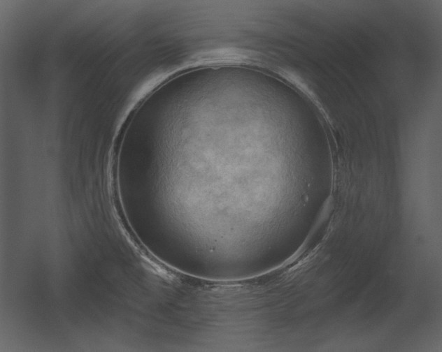 X0000054401477200508011309