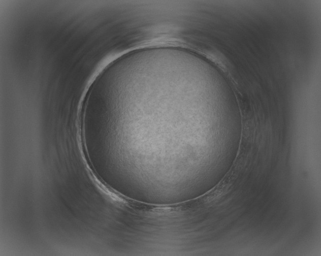 X0000054401478200508011309