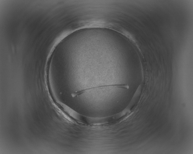 X0000054401480200508011309