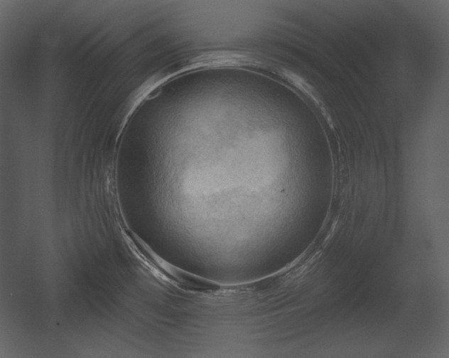 X0000054401481200508011309