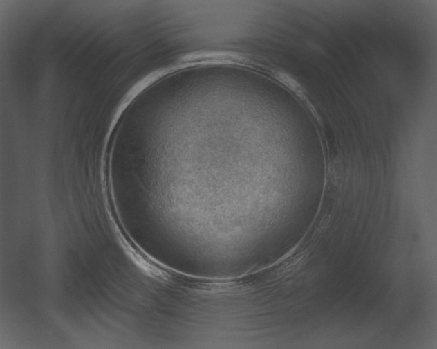 X0000054401482200508011309