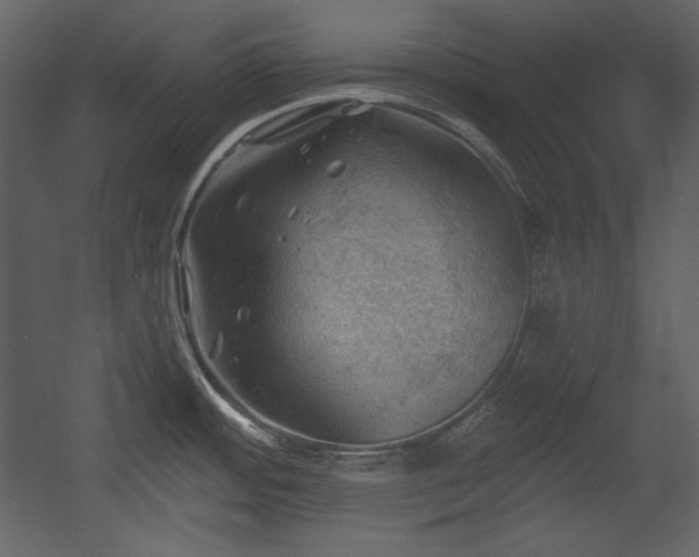 X0000054401484200508011309