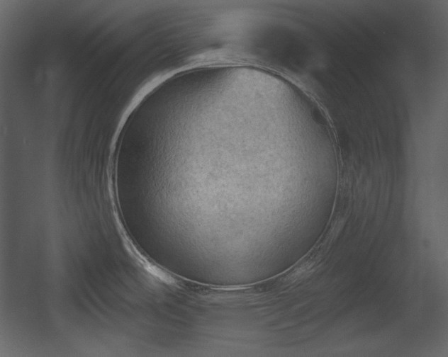 X0000054401486200508011309