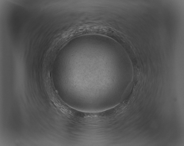 X0000054401489200508011308