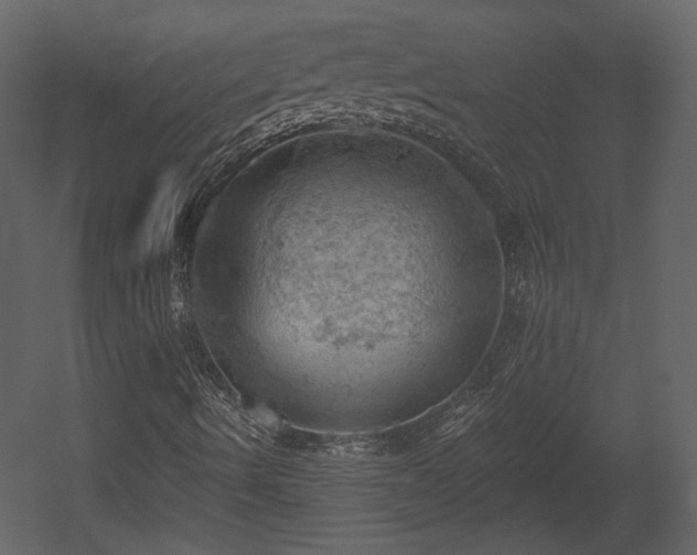 X0000054401490200508011308