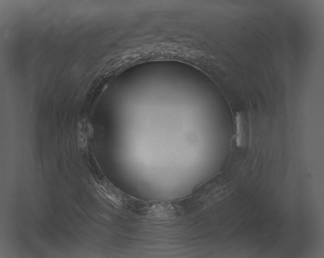 X0000054401491200508011308