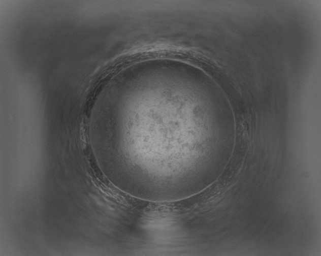 X0000054401493200508011308