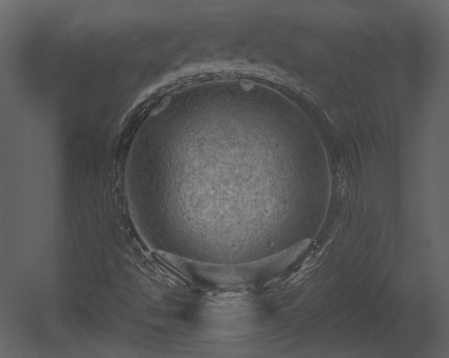 X0000054401494200508011308