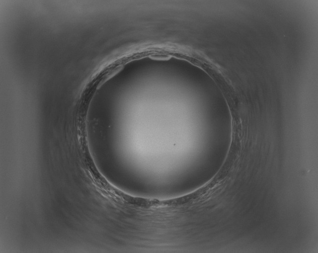 X0000054401496200508011308