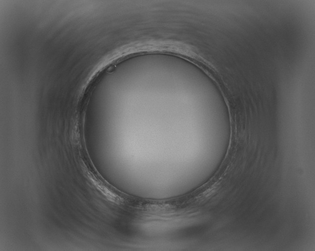 X0000054401498200508011308